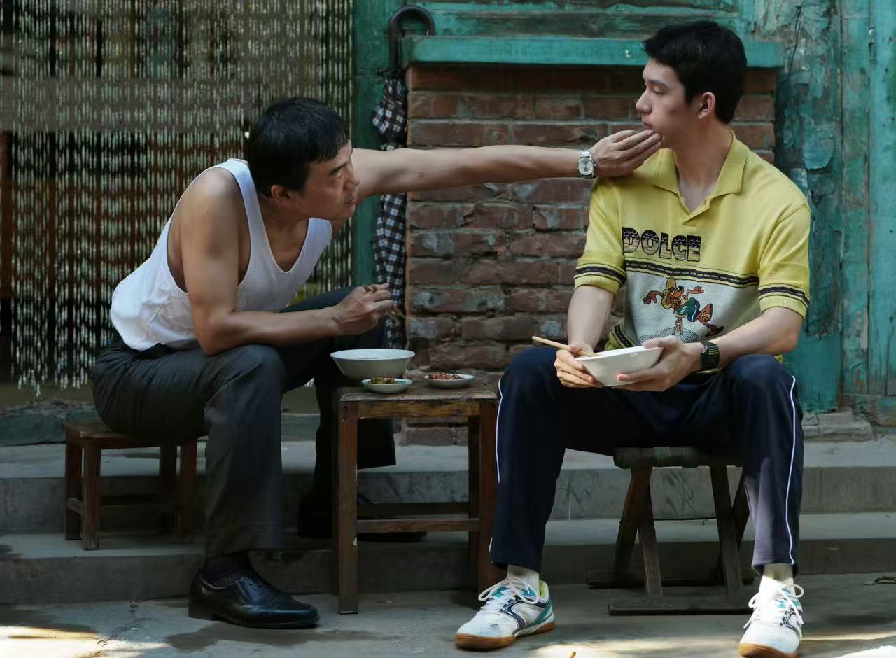 11月1日追剧日历，8部长剧更新，《树影迷宫》开播《重影》收官封面图