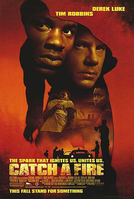 揭竿而起封面图