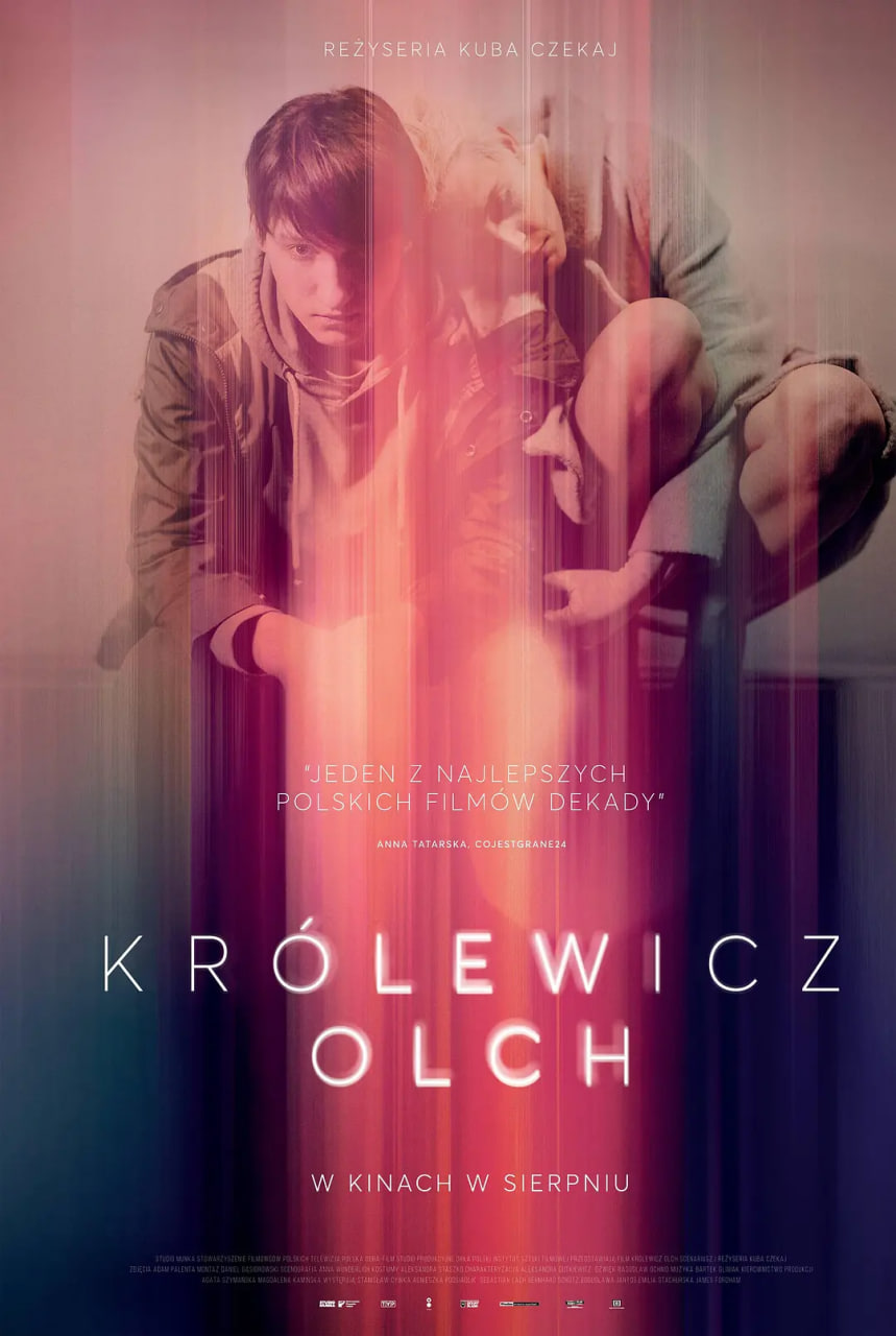 君王之子封面图