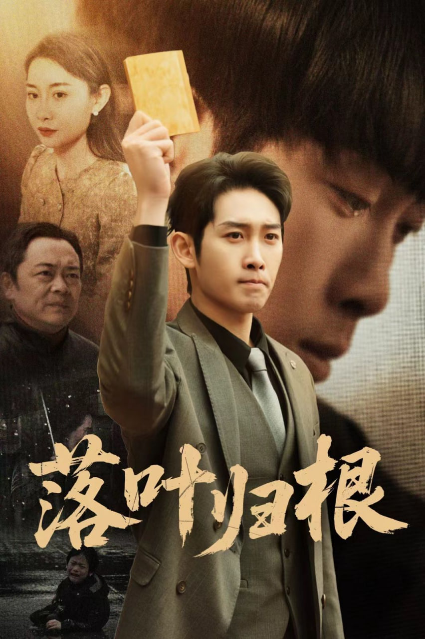 新落叶归根封面图