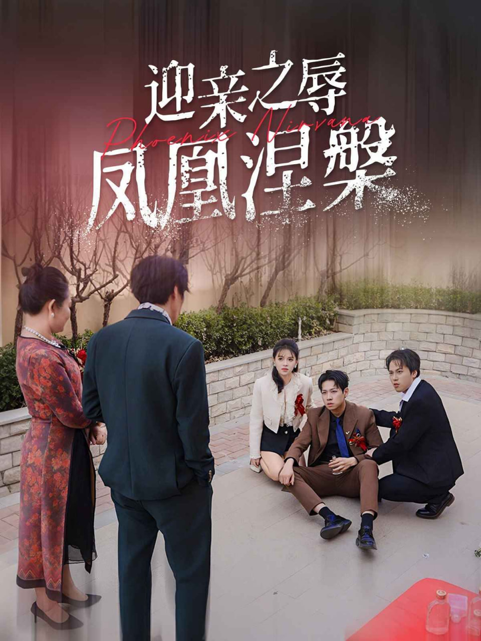 迎亲之辱凤凰涅槃封面图