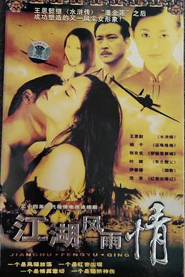 江湖风雨情封面图