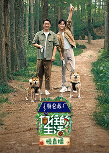 向往的生活第七季慢直播封面图