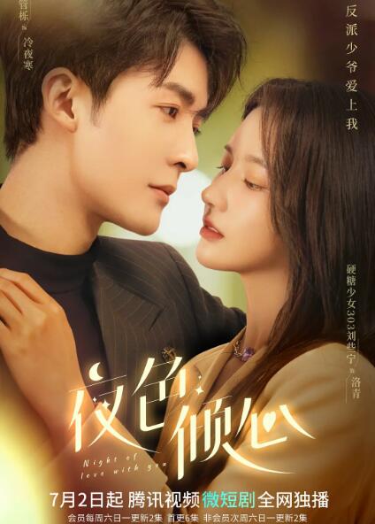 夜色倾心封面图