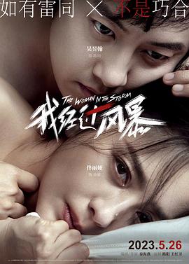 我经过风暴[预告片]封面图