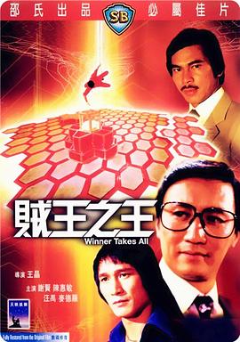 贼王之王1982封面图