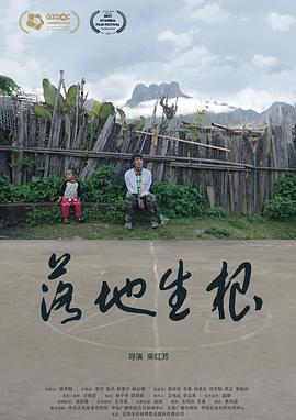 落地生根[预告片]封面图