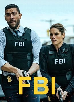 联邦调查局 第五季封面图