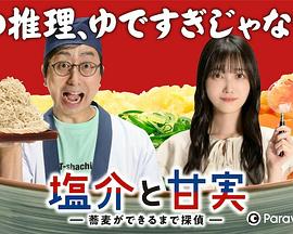 盐介与甘实封面图