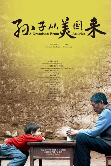 孙子从美国来封面图