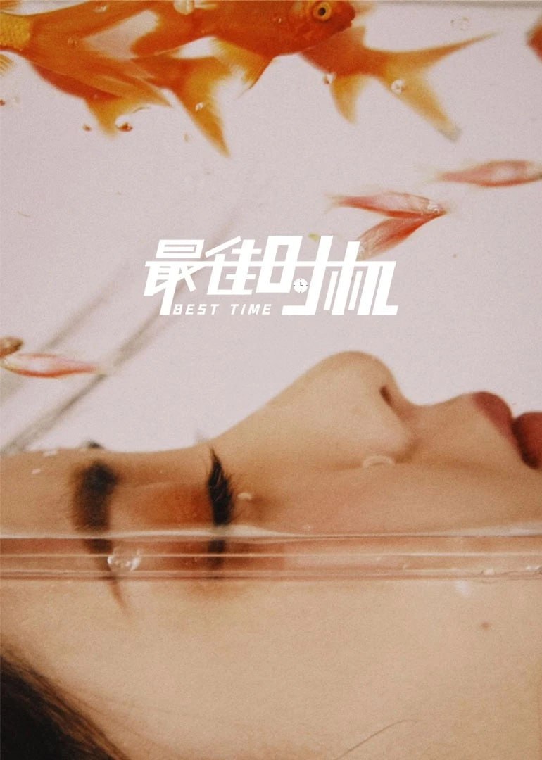 最佳时机 2022封面图