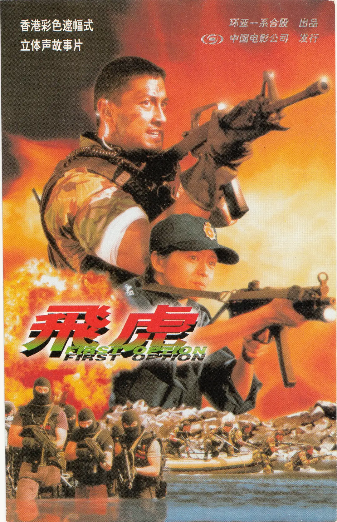 飞虎 1996封面图