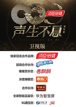 声生不息·家年华卫视版封面图