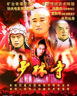 新少林寺封面图