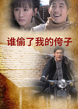 谁偷了我的侉子封面图