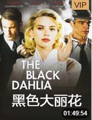 黑色大丽花封面图