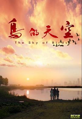鸟的天空封面图
