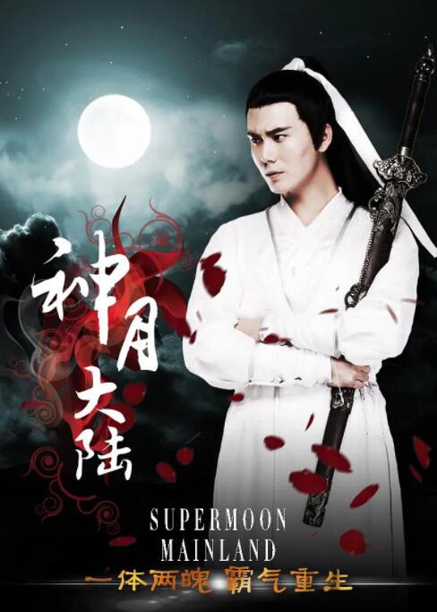 神月大陆封面图