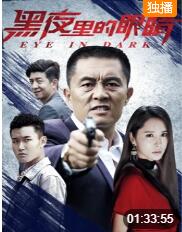 黑夜里的眼睛封面图