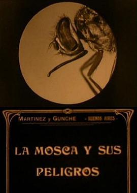 苍蝇的危害封面图