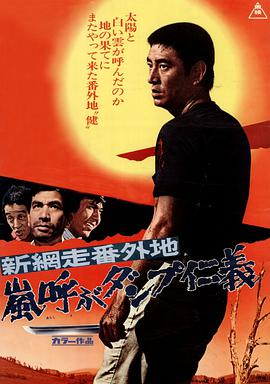 新网走番外地 暴风般仁义封面图