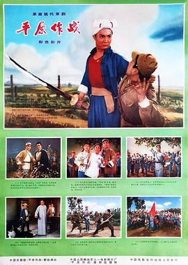 平原作战封面图