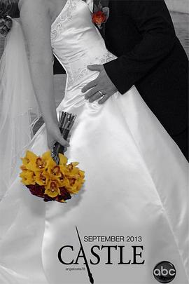 灵书妙探第六季封面图