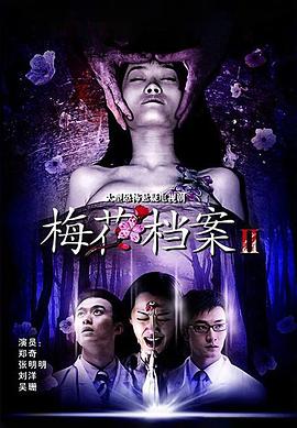 梅花档案2封面图