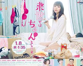 下辈子我再好好过 第一季封面图