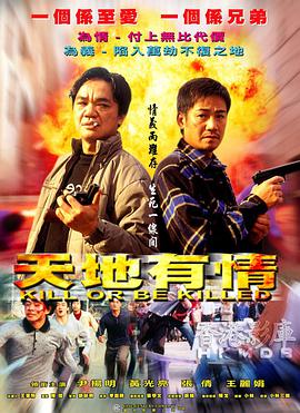 天地有情2002封面图