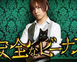 安全维纳斯封面图