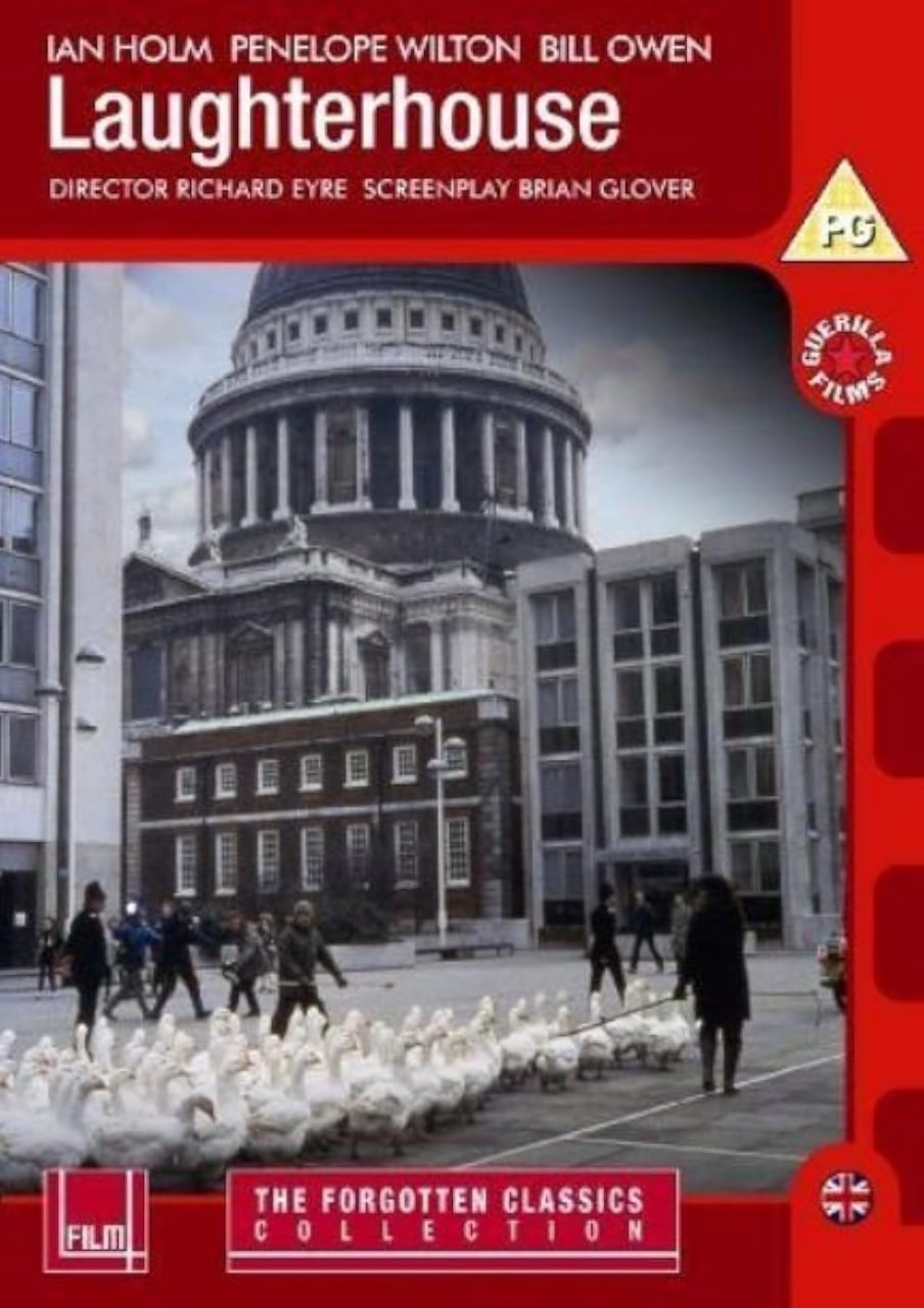 辛格尔顿的勇气封面图