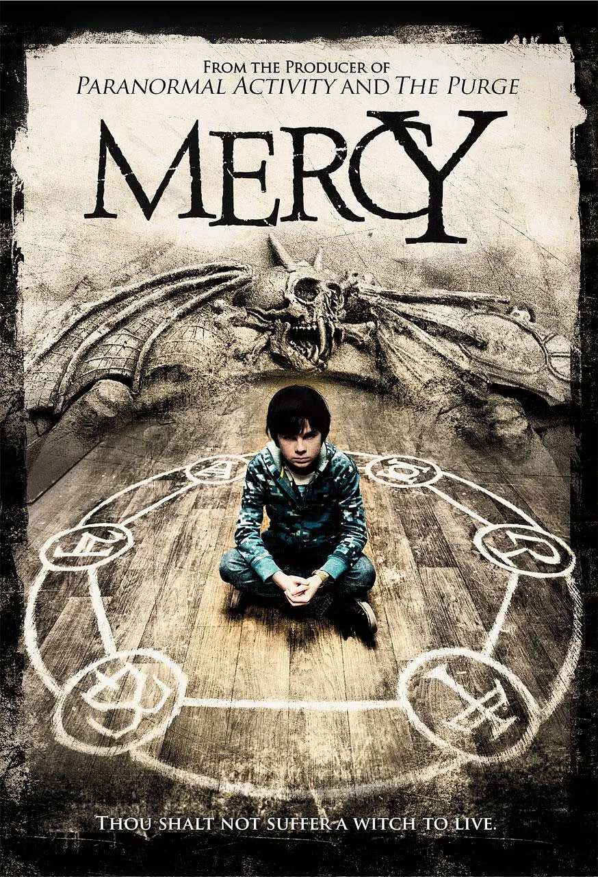 慈 Mercy 2014封面图