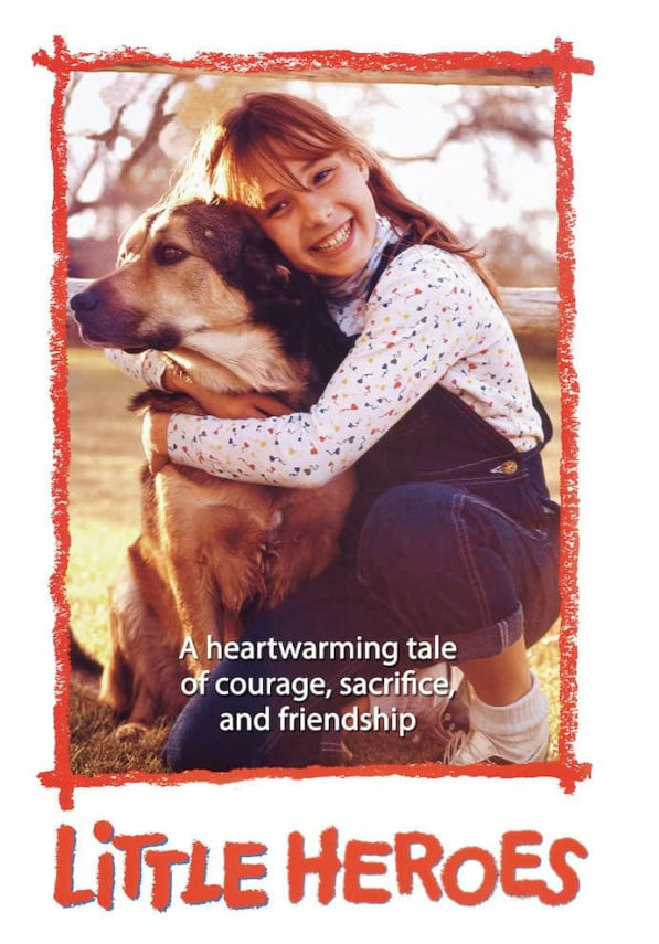 小英雄 1991封面图