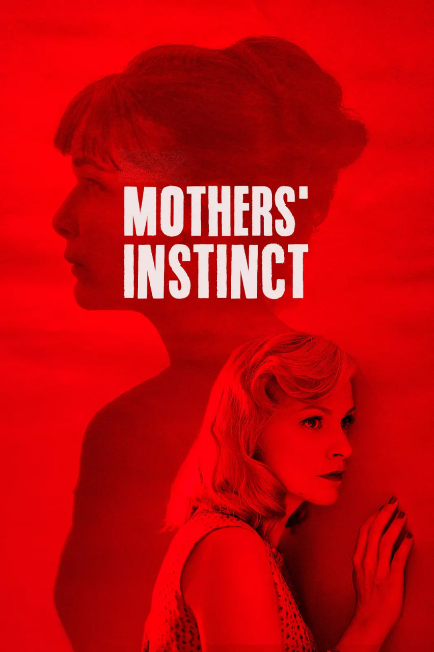 双姝疑云封面图