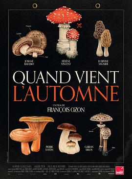 秋日何时来[电影解说]封面图