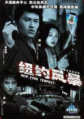 纽约风暴[电影解说]封面图
