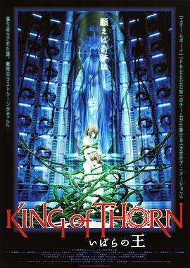 古城荆棘王[电影解说]封面图