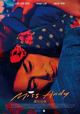 迷失安狄[电影解说]封面图