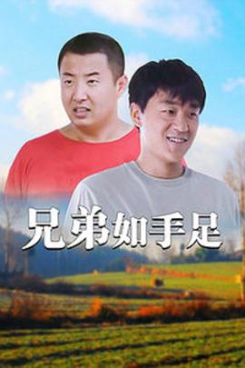 兄弟如手足[电影解说]封面图