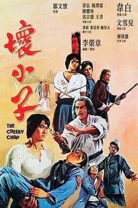 坏小子1980[电影解说]封面图