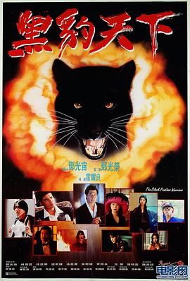 黑豹天下[电影解说]封面图