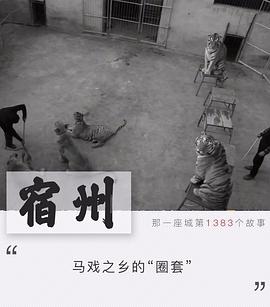 圈套：动物表演背后的真相[贤哥解说]封面图