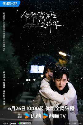 偷偷藏不住之许你封面图