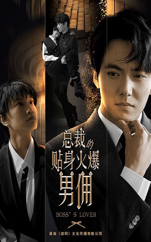 总裁的贴身火爆男佣封面图