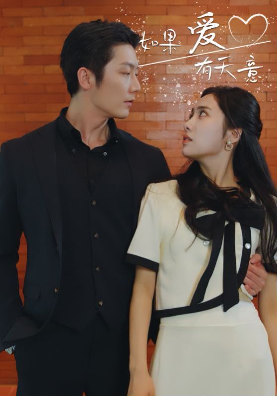 新如果爱有天意封面图