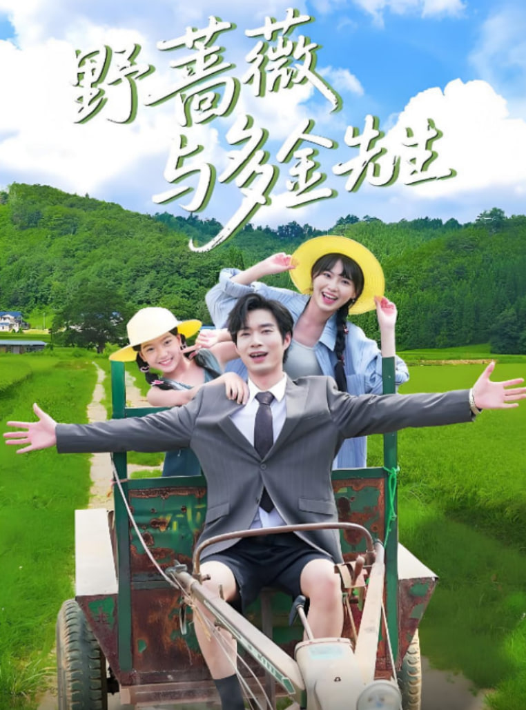 野蔷薇与多金先生封面图