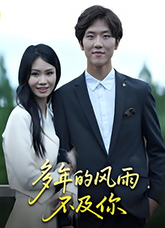 多年的风雨不及你封面图