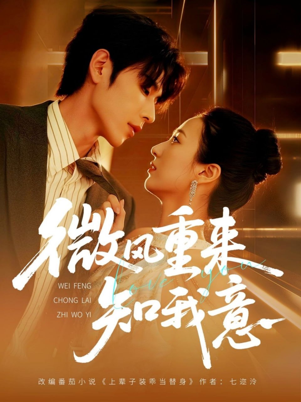 微风重来知我意封面图