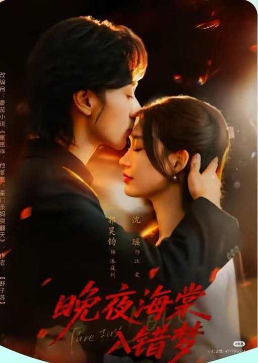 晚夜海棠入错梦封面图